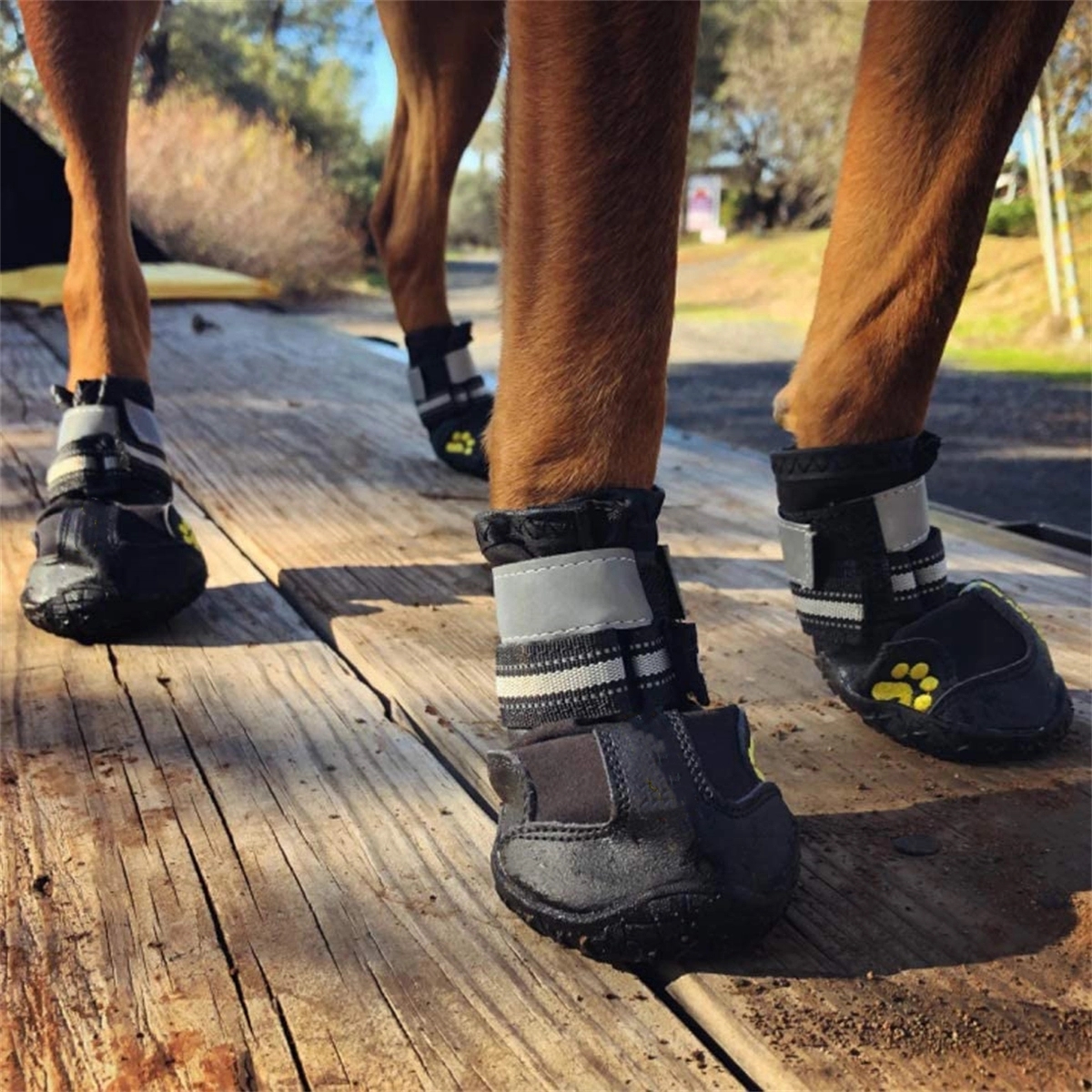 Dog Boots Waterproof Shoes 4Pcs/Set 2