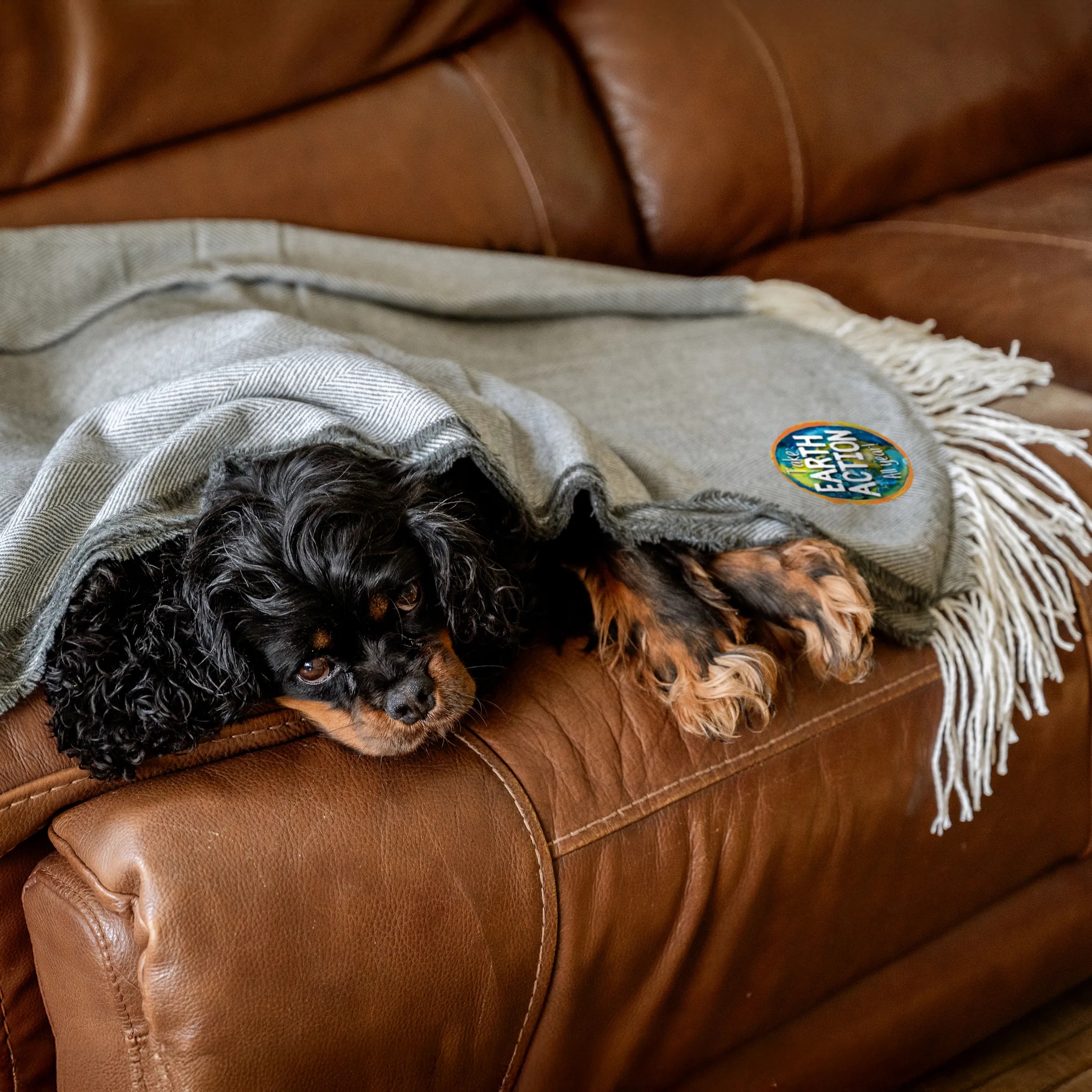 Fringed Throw Blanket 4