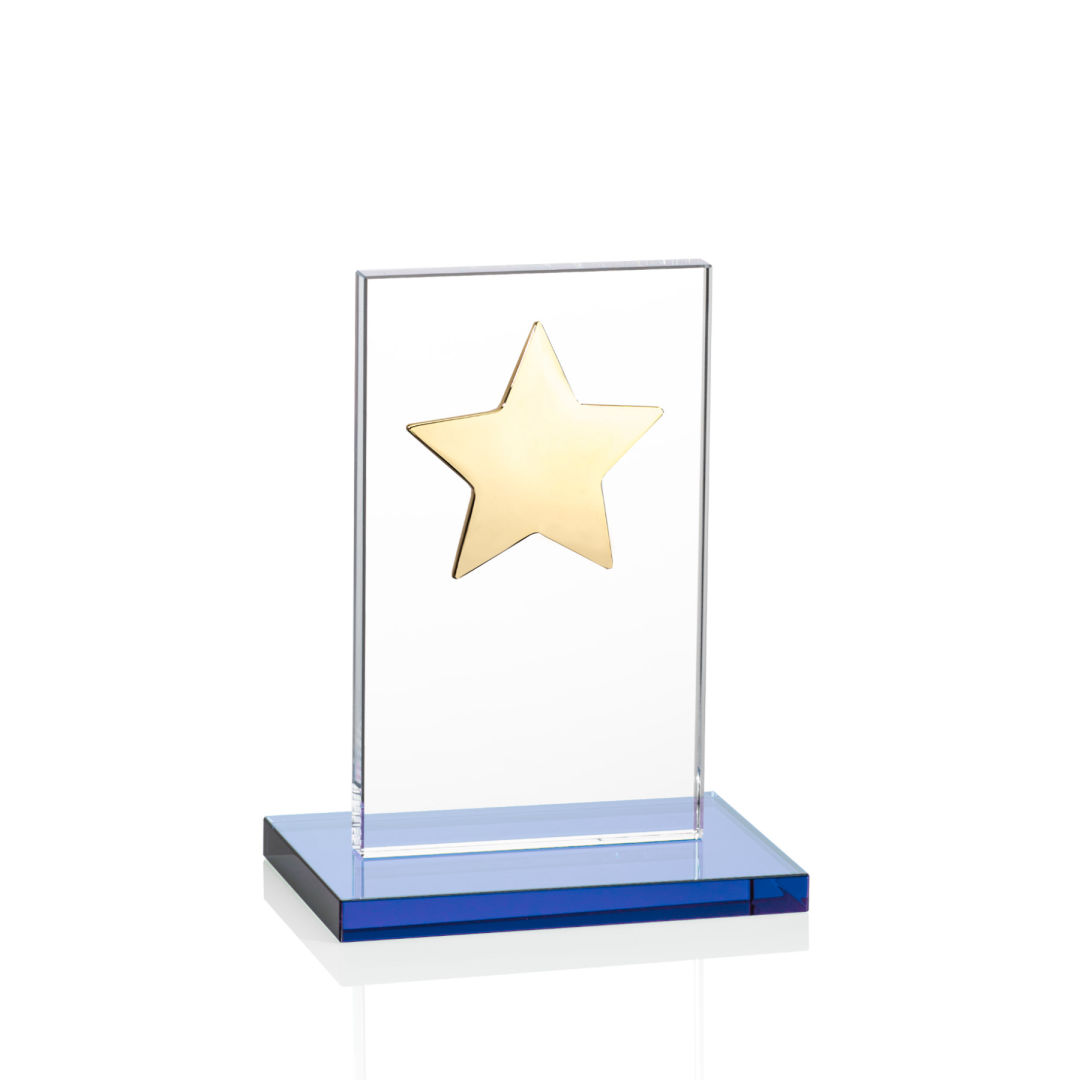 Dallas Star Award - Sky Blue/Gold 3