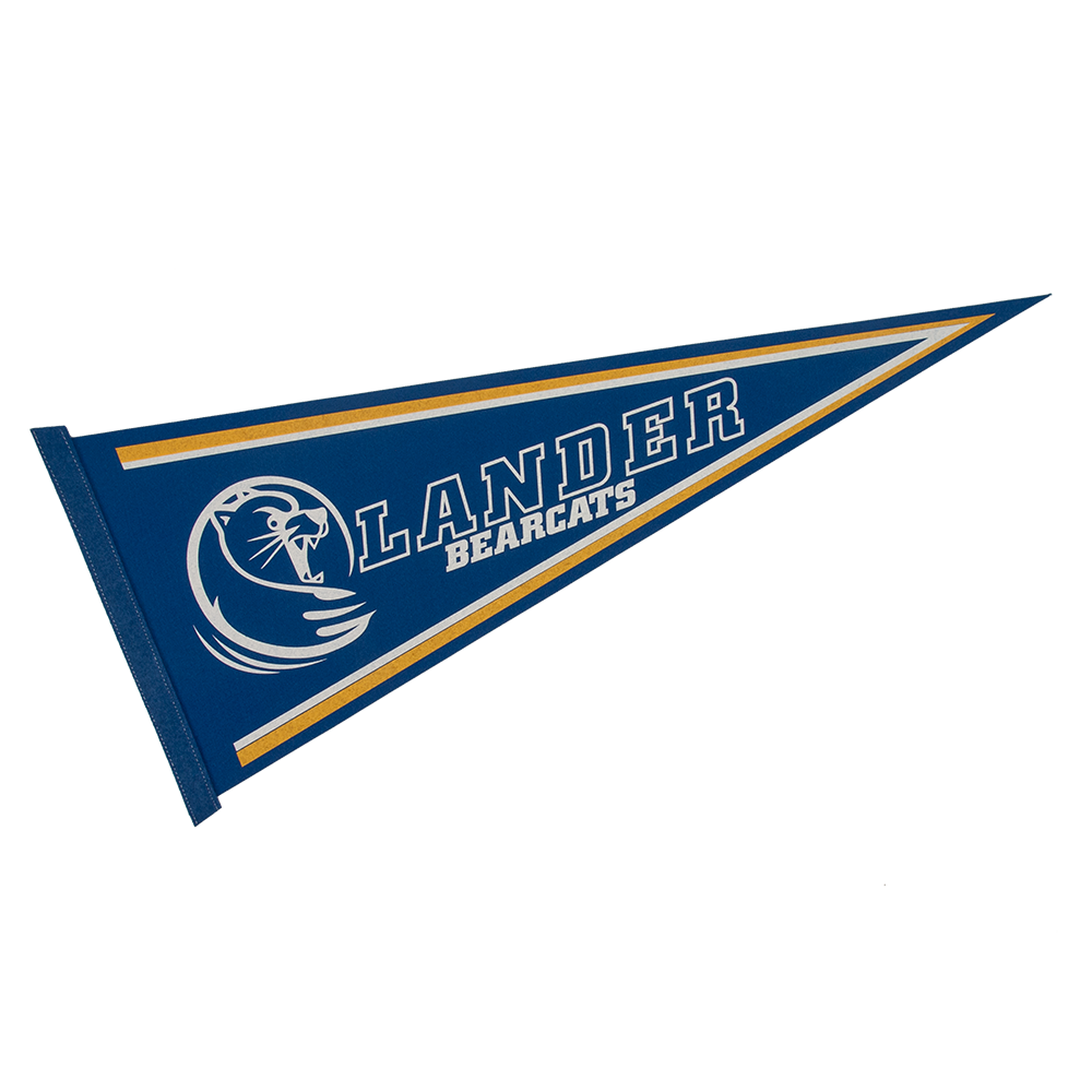 12" x 30" Colored Felt Pennant 22