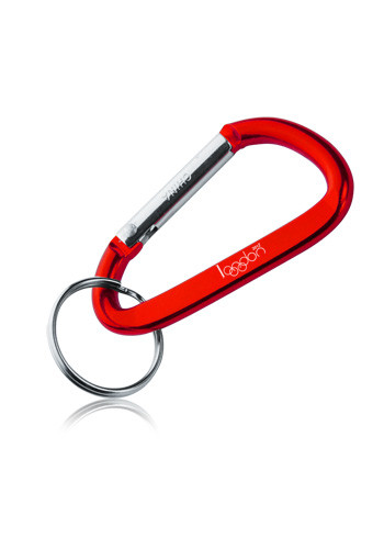 Metal Carabiner Keychains 9