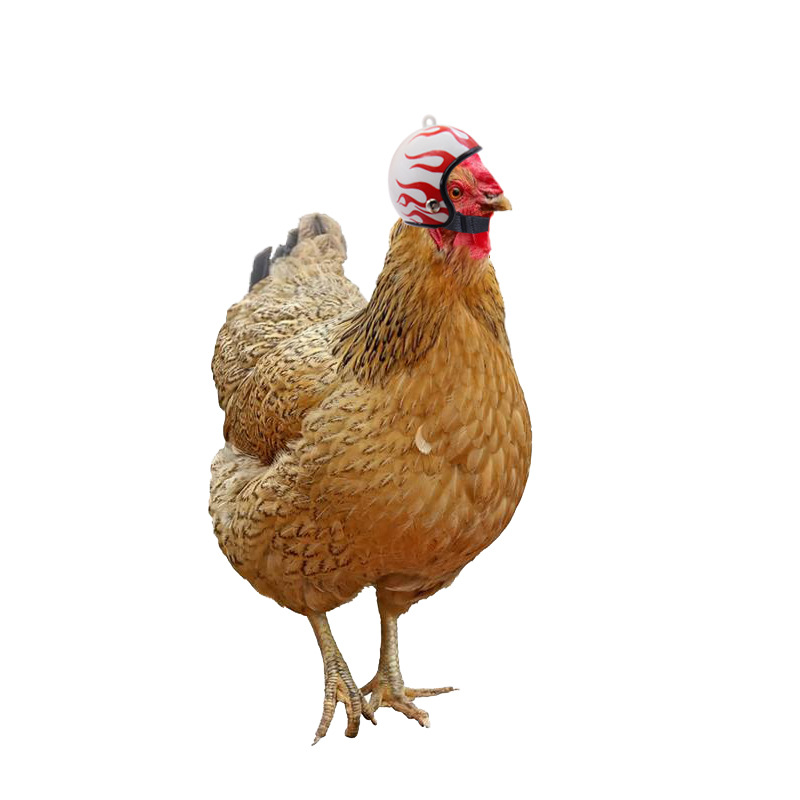 Personalized Poultry Mini Helmet 6