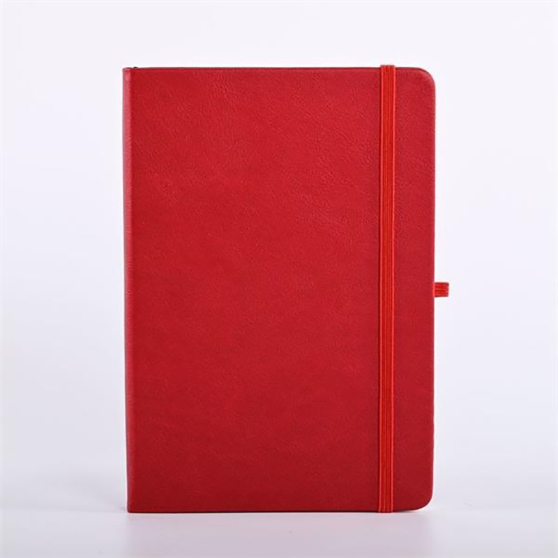 Journal Notebook 6