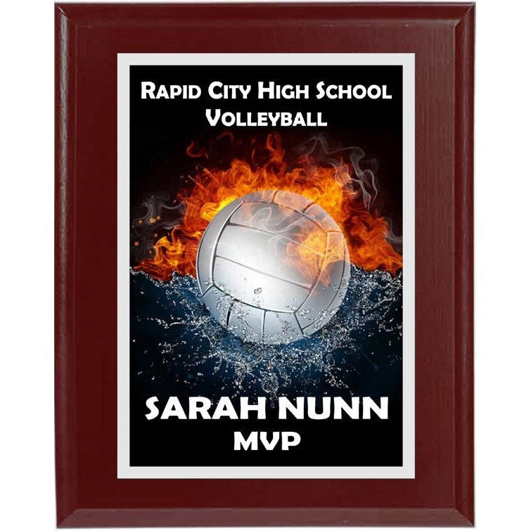 Varsity Plaque Series 2