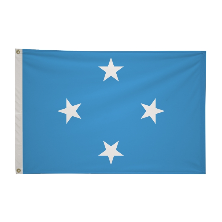 2' x 3'International Flag 9