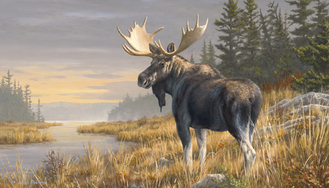 Triumph® Calendars Wildlife Art by the Hautman Brothers Calendar 33