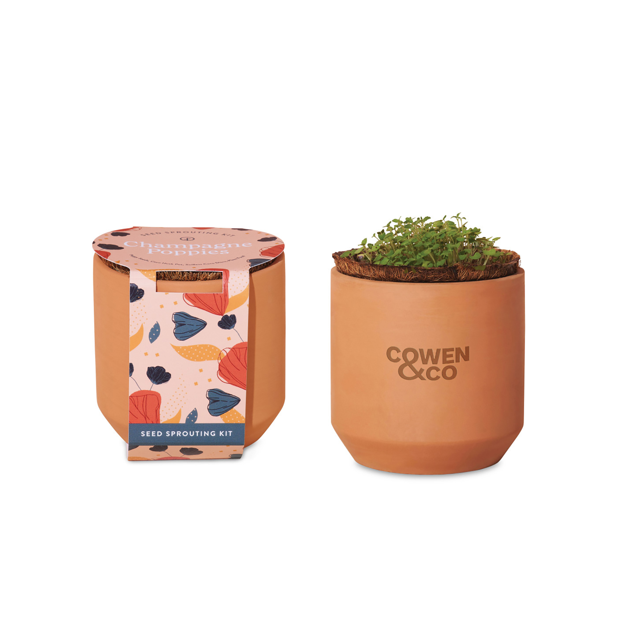 Modern Sprout® Tiny Terracotta Grow Kit Champagne Poppies 7