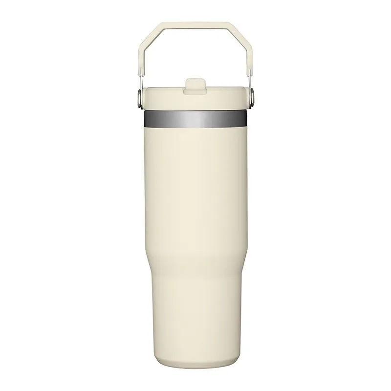 20oz Stainless Steel Tumbler Cup with Straw Leak Resistant 15