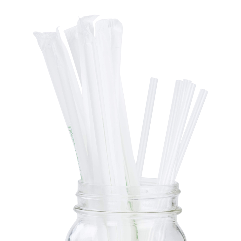 Plastic Straw 2