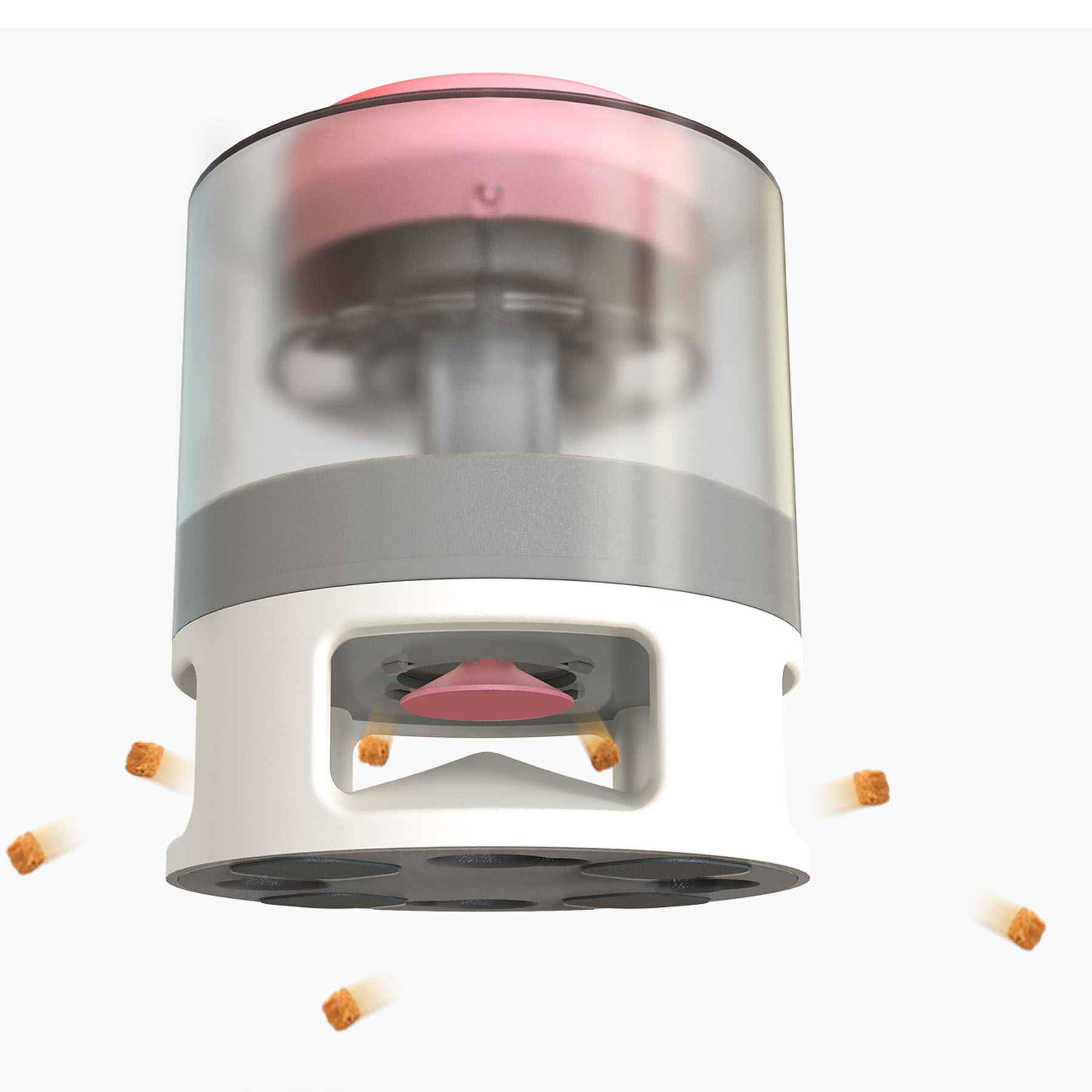 Dog Slow Feeder 2