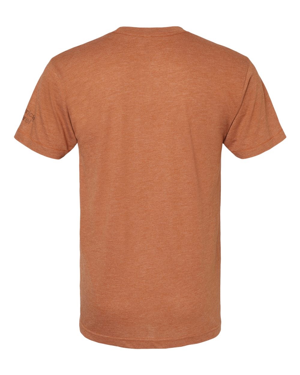 Unisex Triblend Track Tee - TR401 65