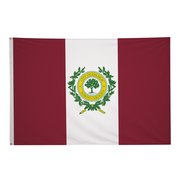 4' x 6' City Flags 29