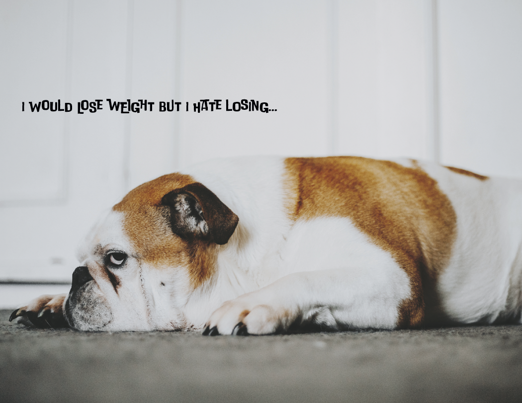 Good Value™ Pets with Attitude - Spiral Calendar 37