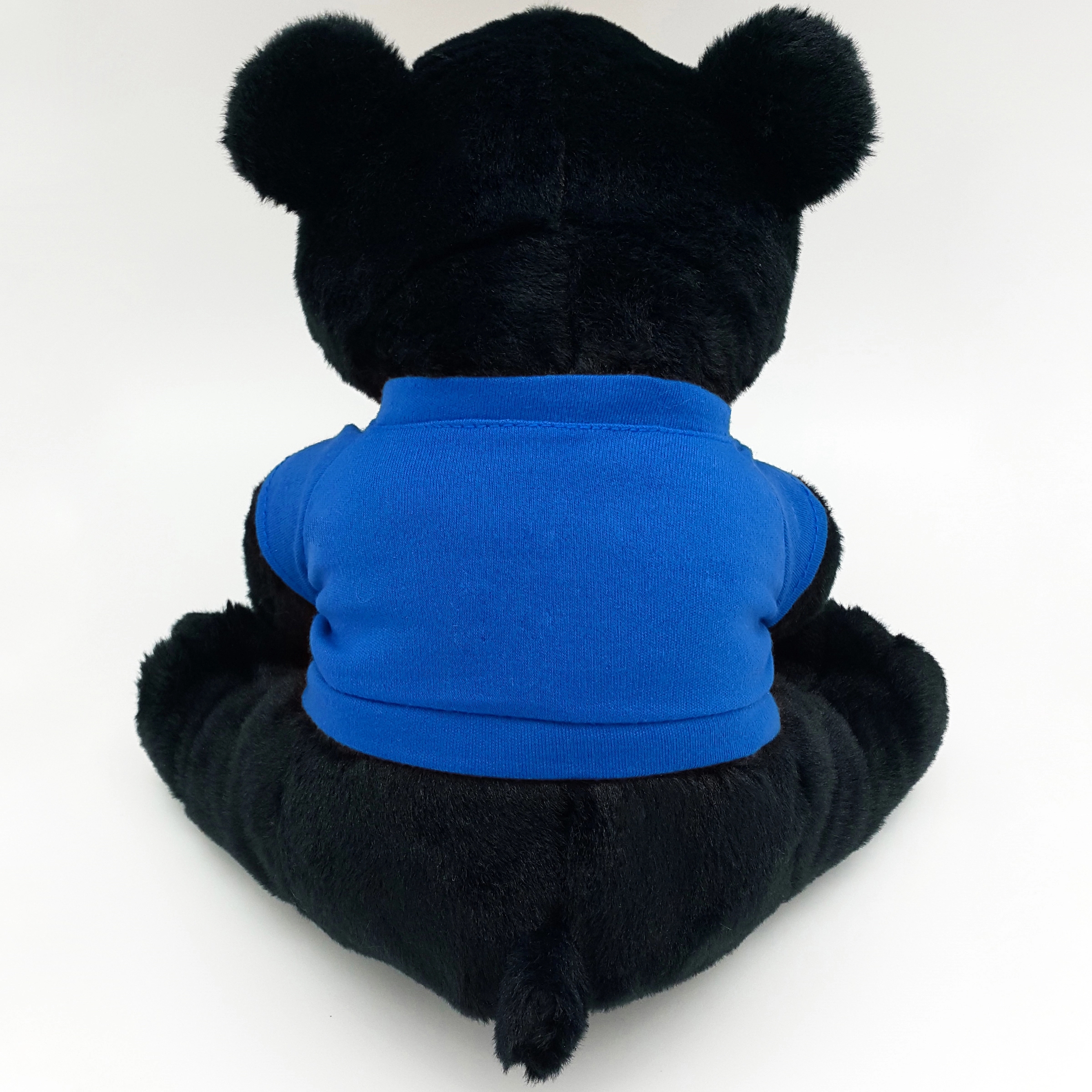 10" Black Bear 1
