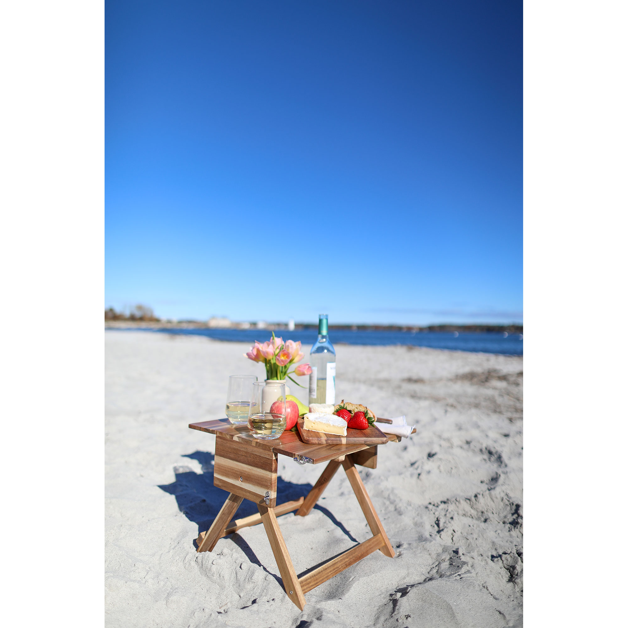 La Cuisine™ Picnic Table & Carrier 15