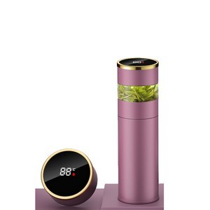 17Oz Stainless Smart Tea Thermos 11