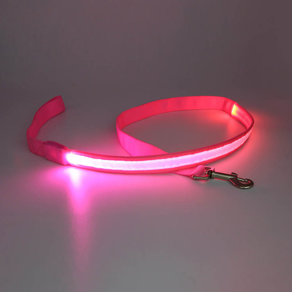 LED Dog Leash 1