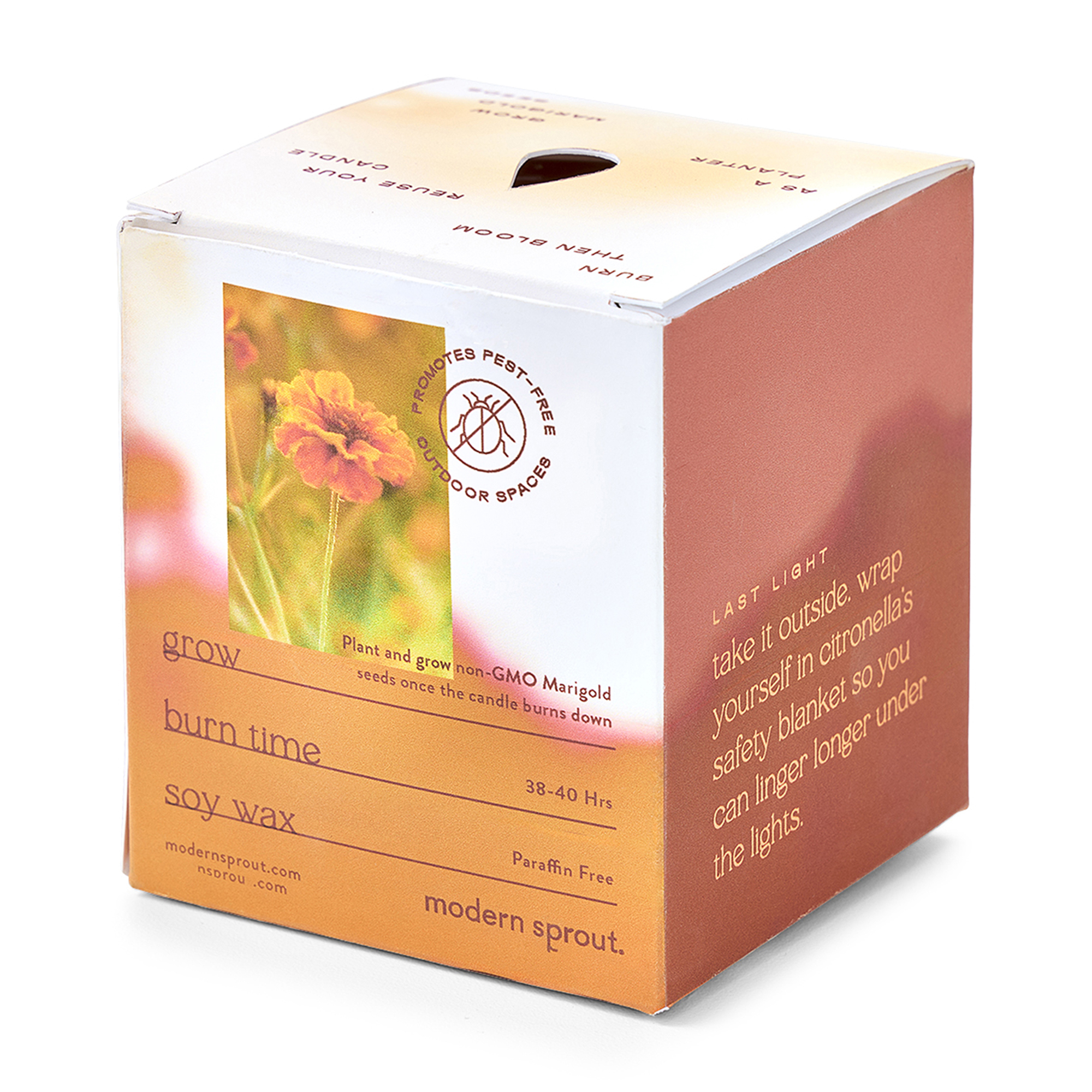 Modern Sprout® Garden Vibes Candle/Planter 20