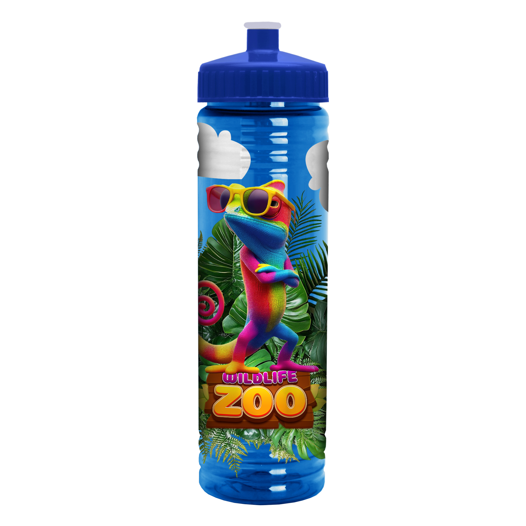 Garyline® Slim Fit Bottle with Push-Pull Lid - 24 oz. 270