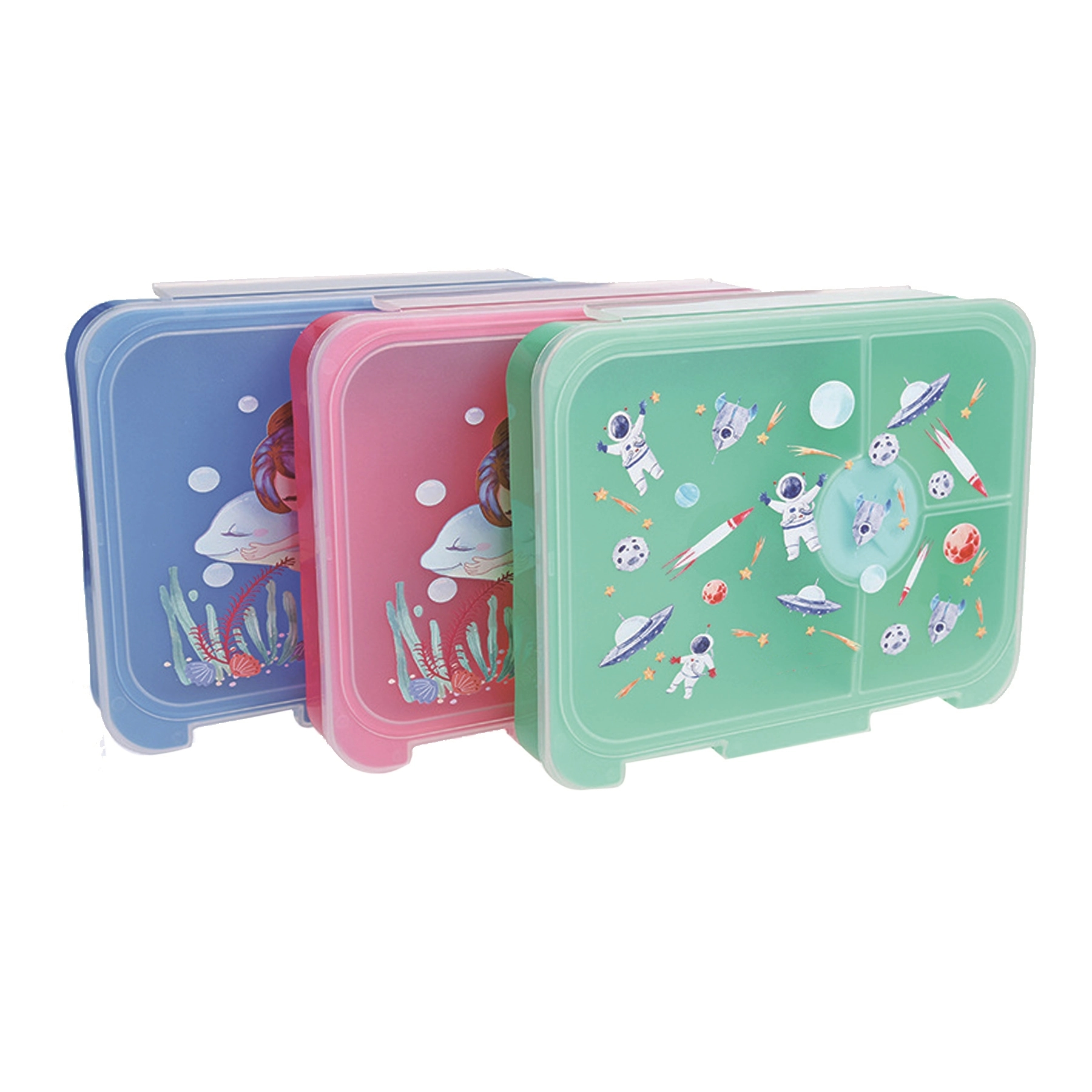 Transparent Four-Compartment Lunch Box 3