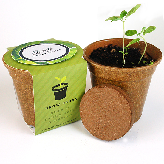 Herb Medallion Seed Paper Sprouter Kits 6