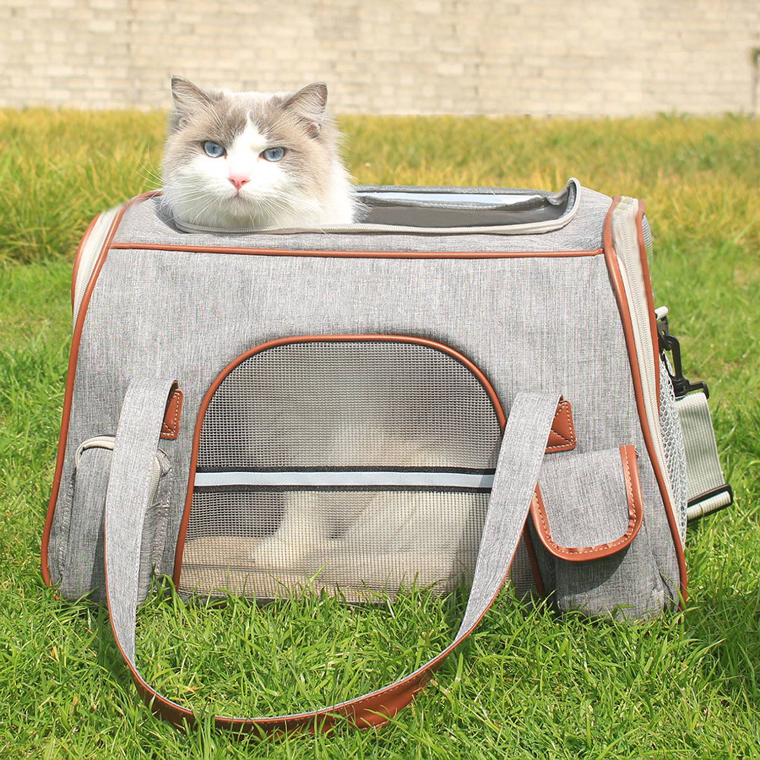 Large Capacity Foldable Oxford Pet Carrier Bag 8