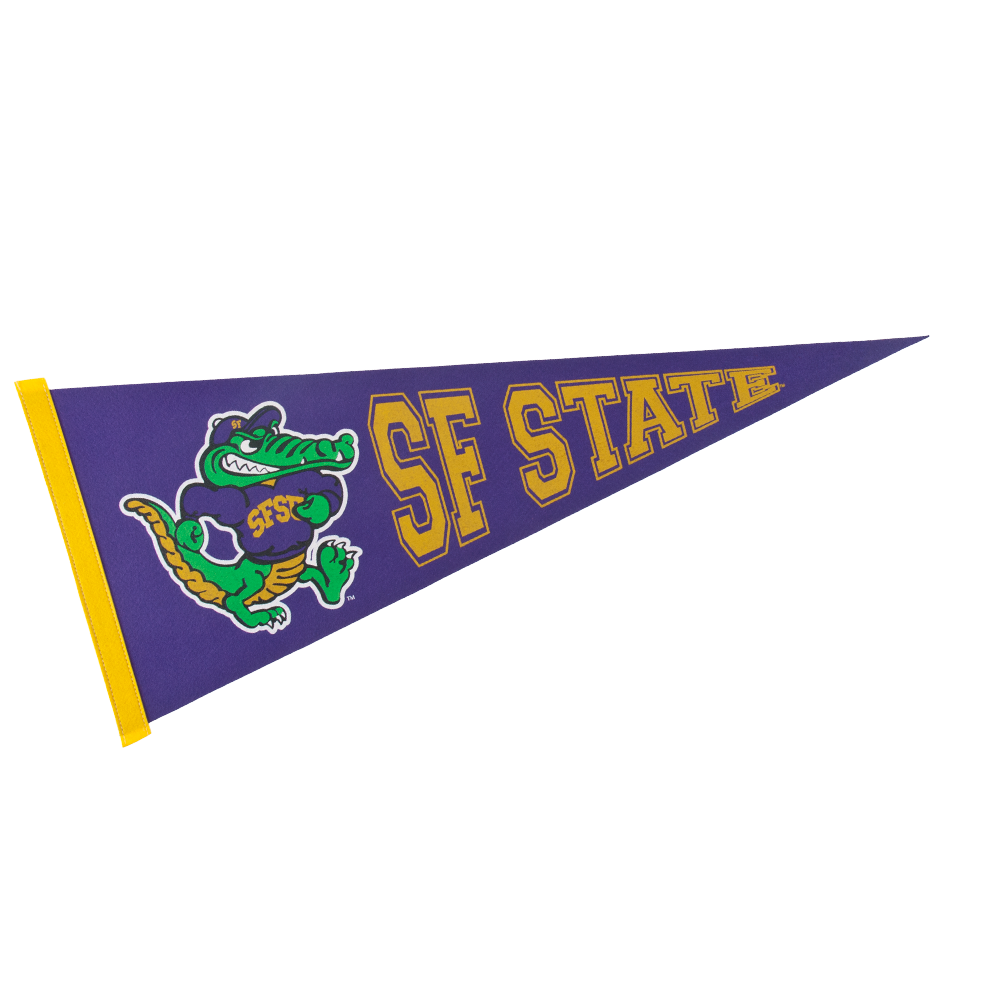 12" x 30" Colored Felt Pennant 15