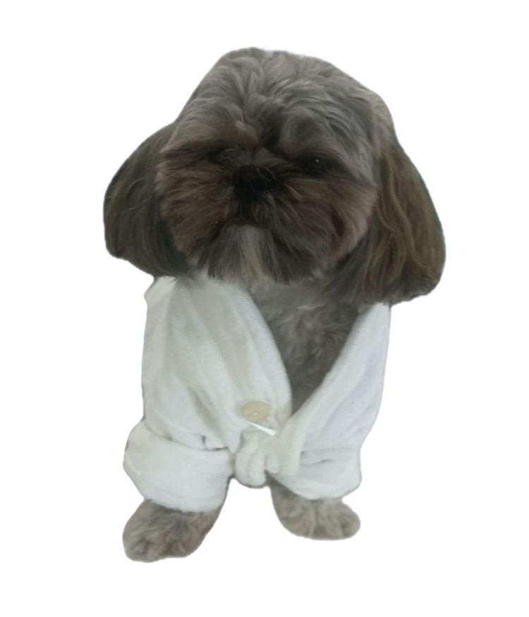 Dog Bathrobe 2