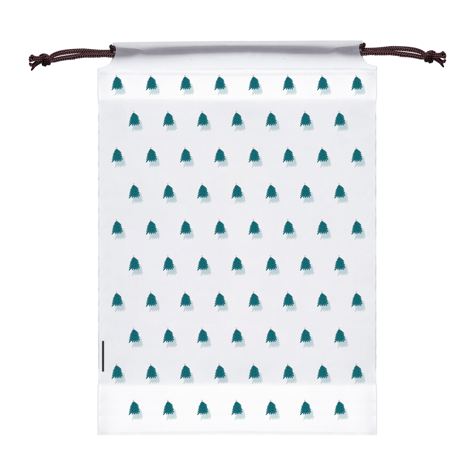 Clear PE Shoe Bags for Travel 11