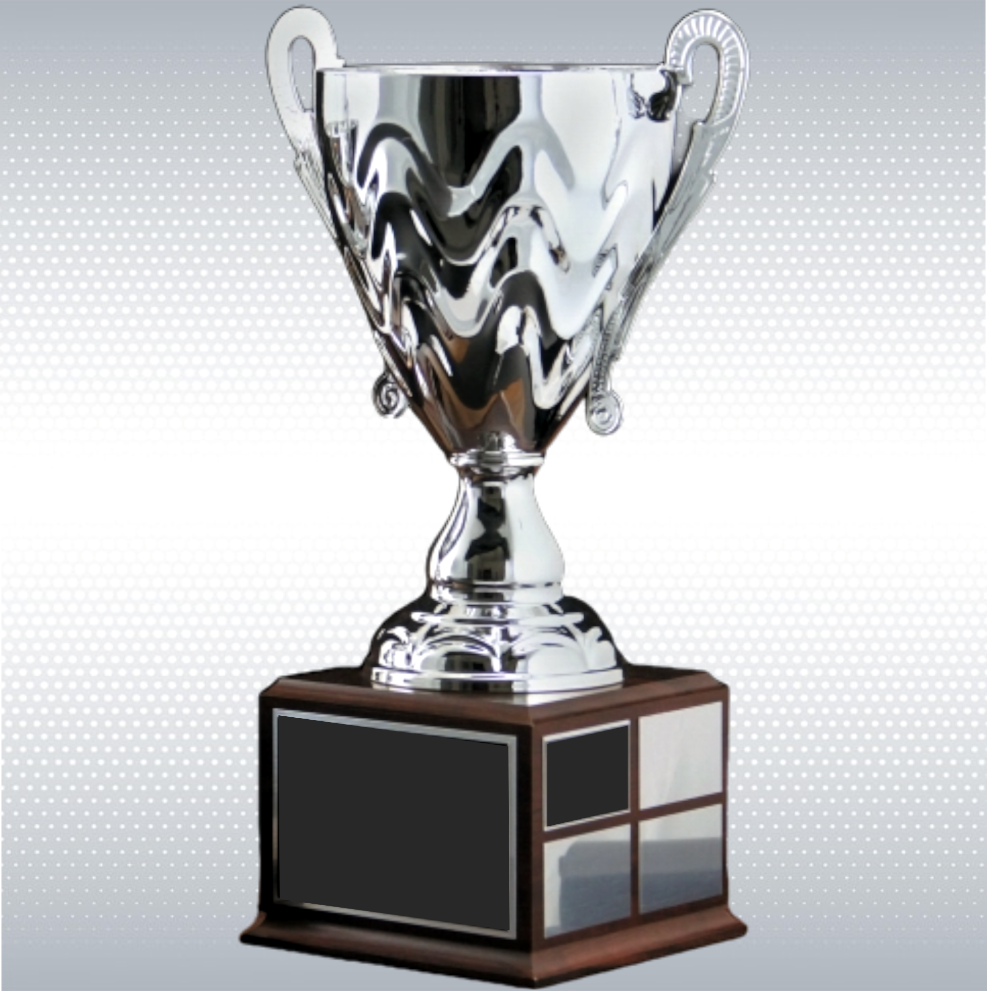 Wave Perpetual Silver Cup Trophy Award w/Perpetual Base 3