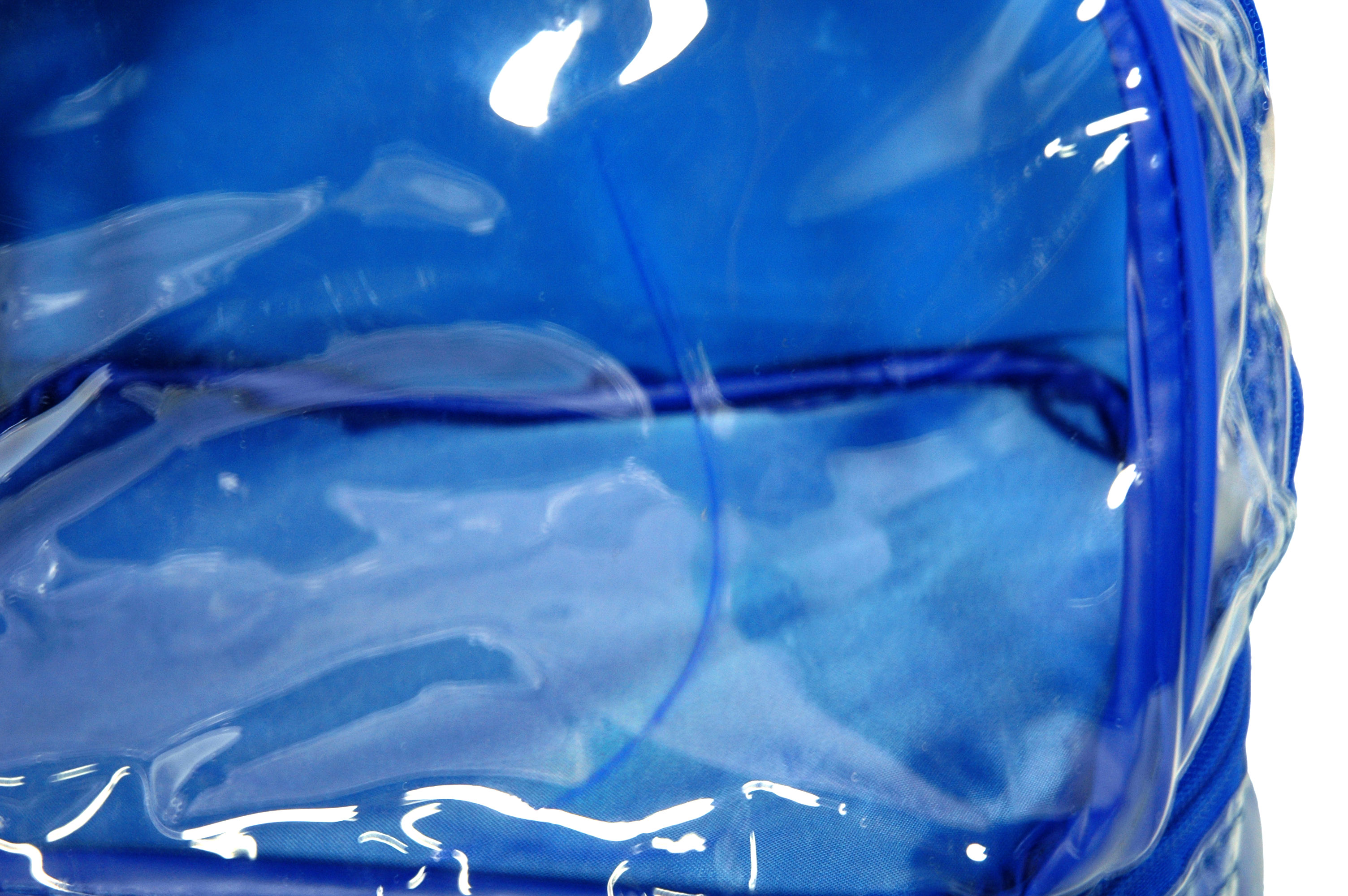 The Clear Lunch Bag 2