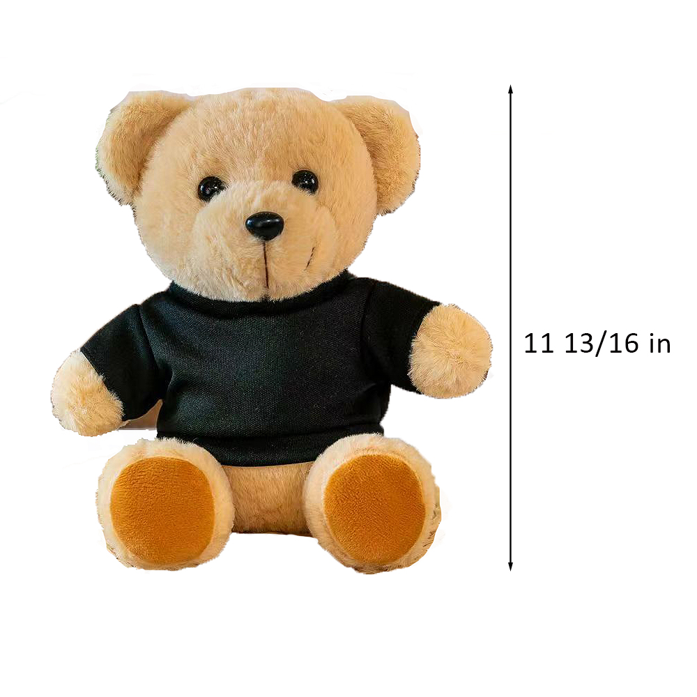 Plush Teddy Bear w/ T-Shirt 8
