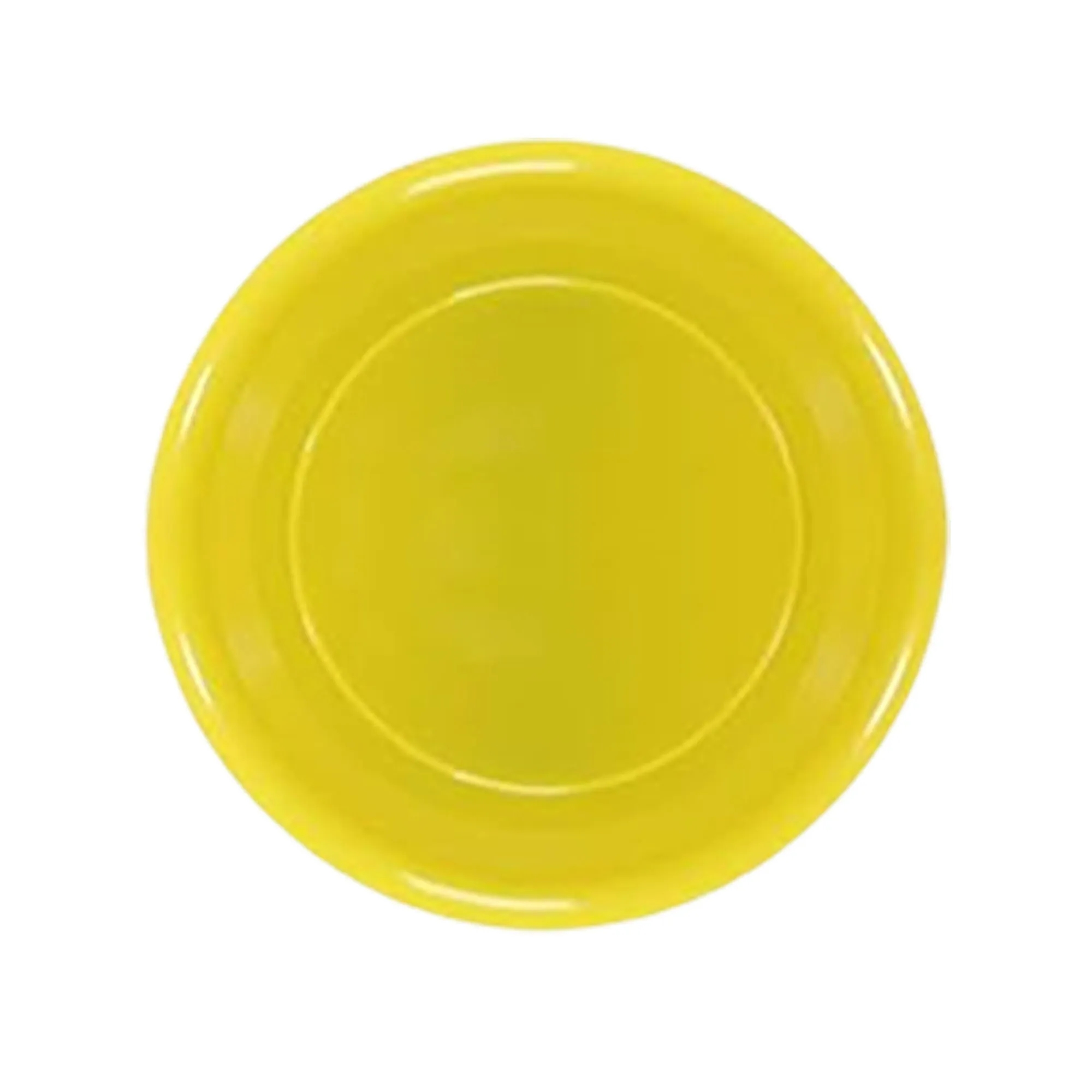 9 Inch Plastic Flying Disc 13