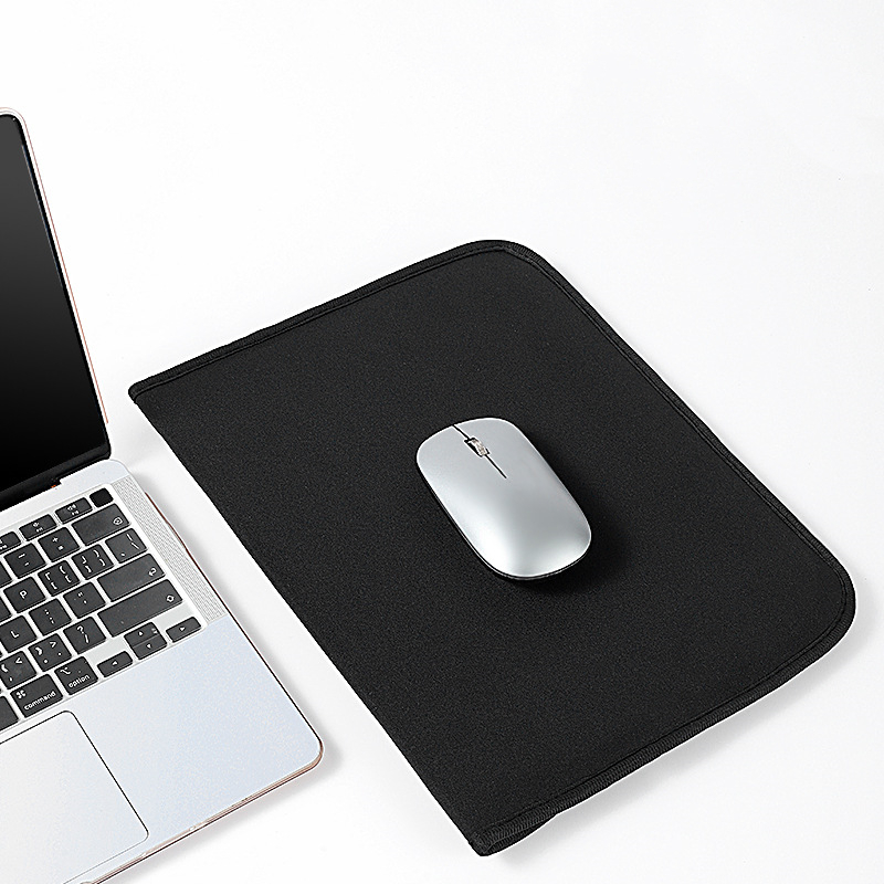 Laptop Sleeve 2