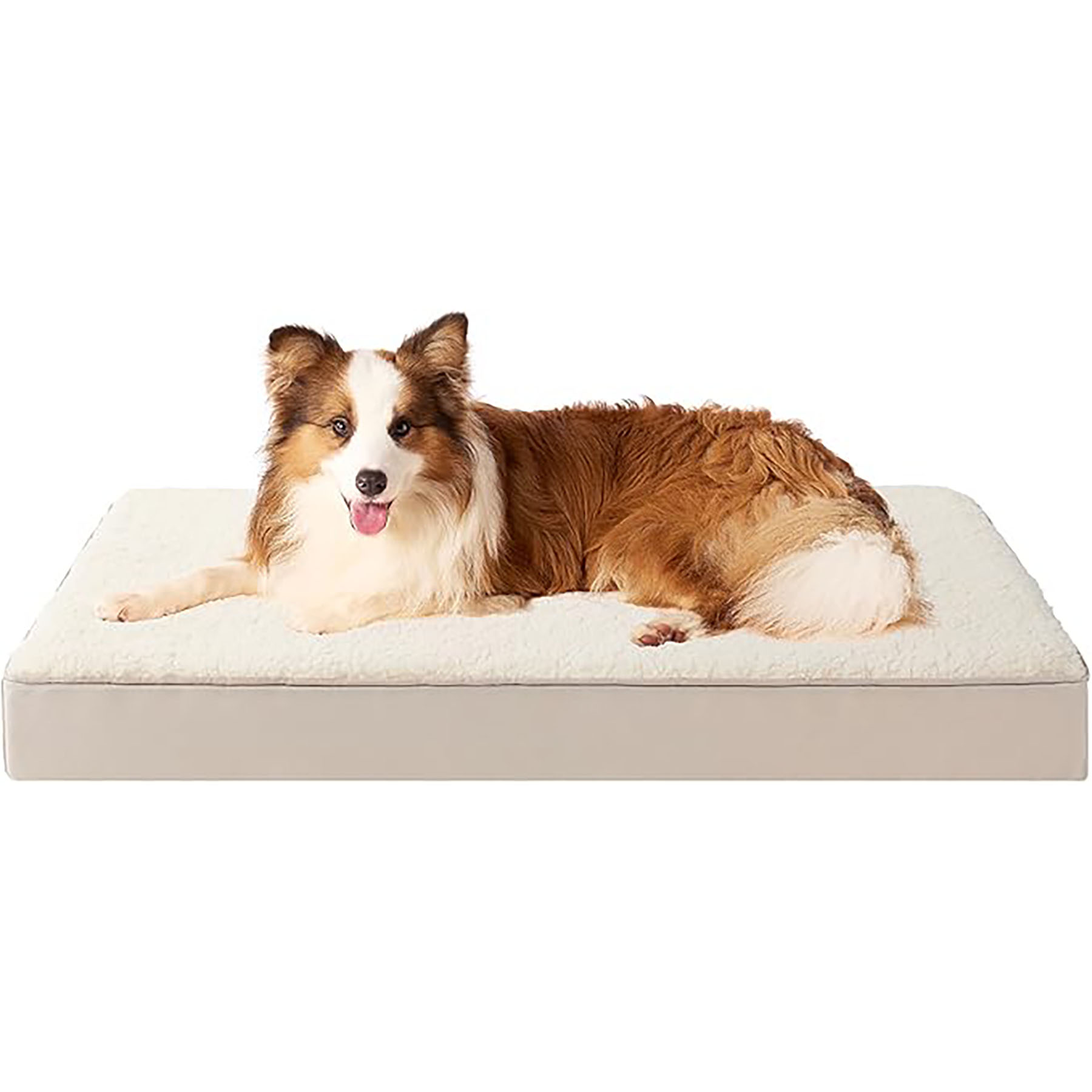 Dog Beds 2
