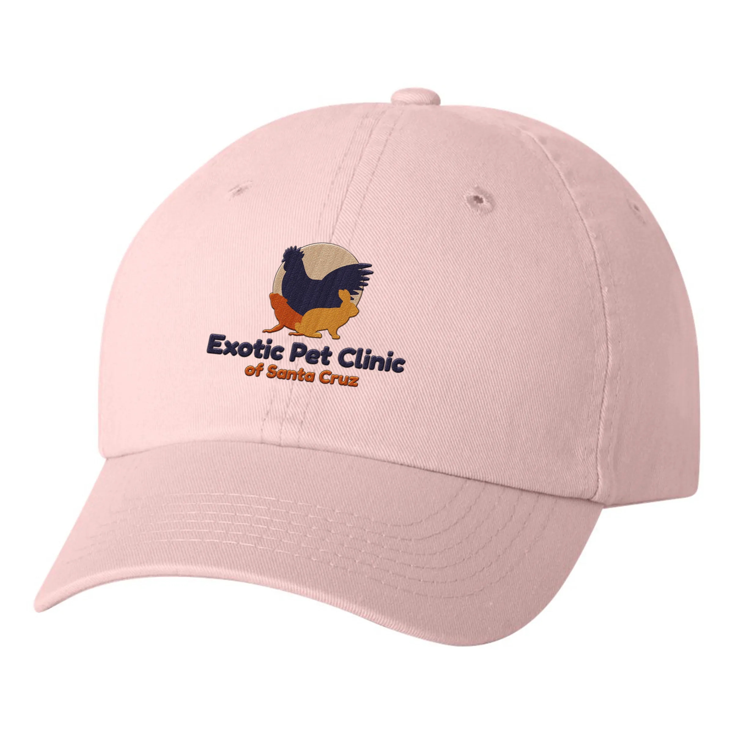 VALUE CAP SMALL FIT BIO-WASHED DAD'S 13