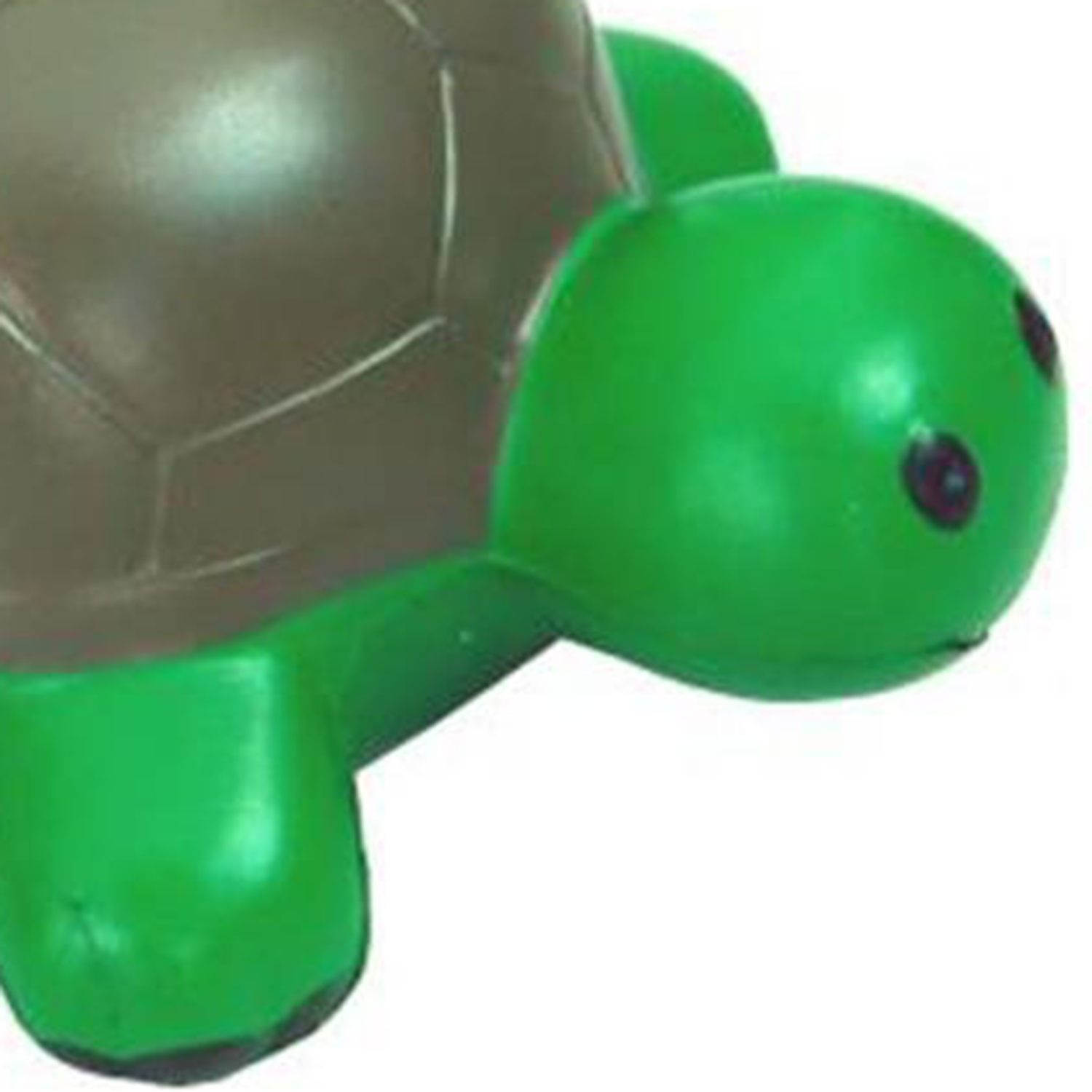 Turtle Stress Balls 5