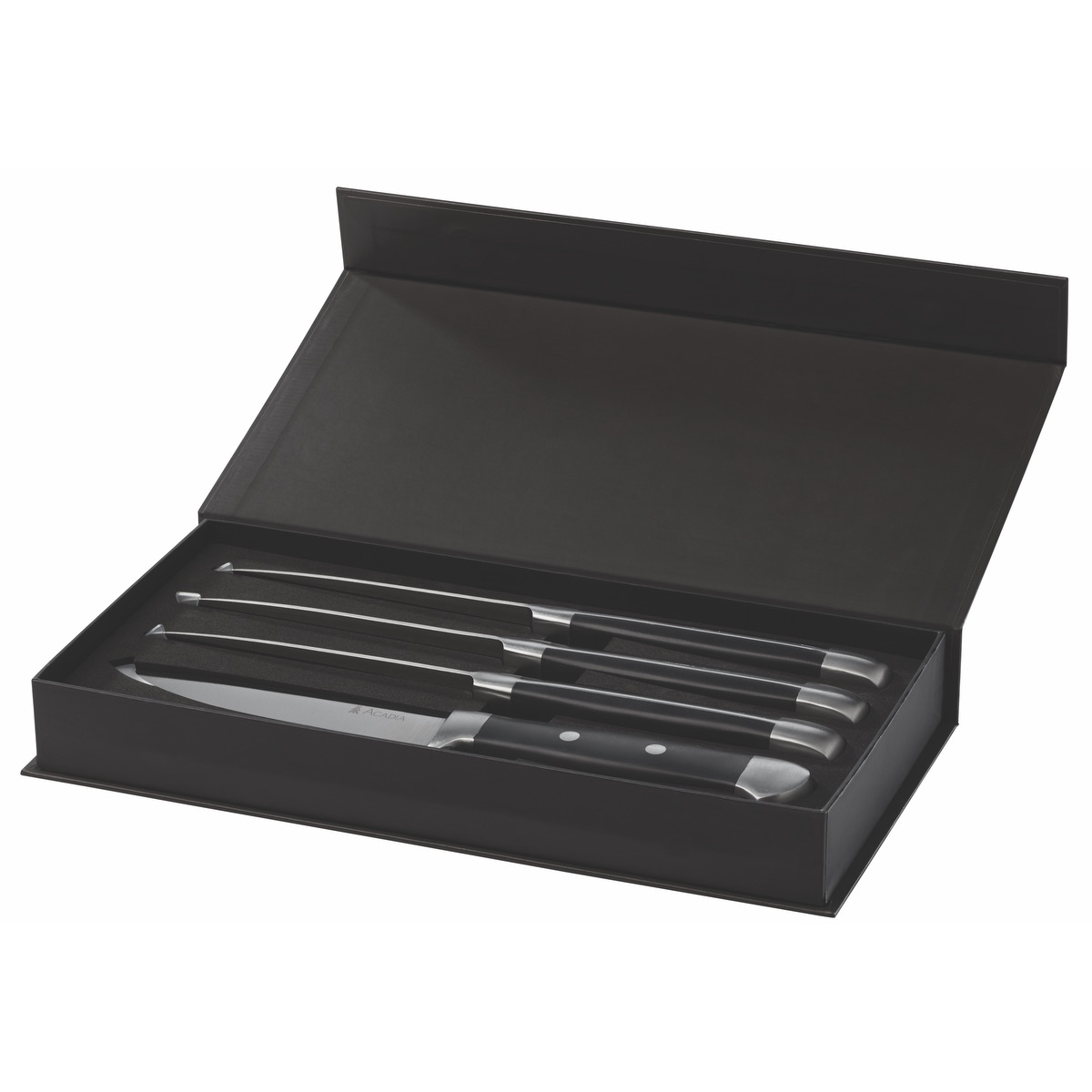 Oneida® Jumbo 4 Piece Steak Knife Set 2