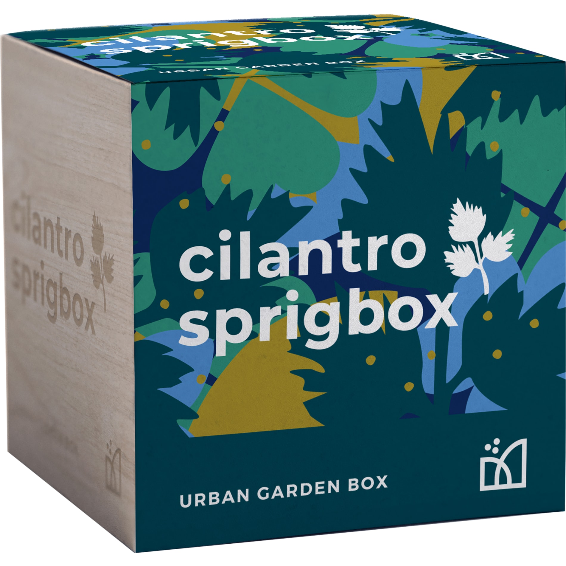 Sprigbox Cilantro Grow Kit 19