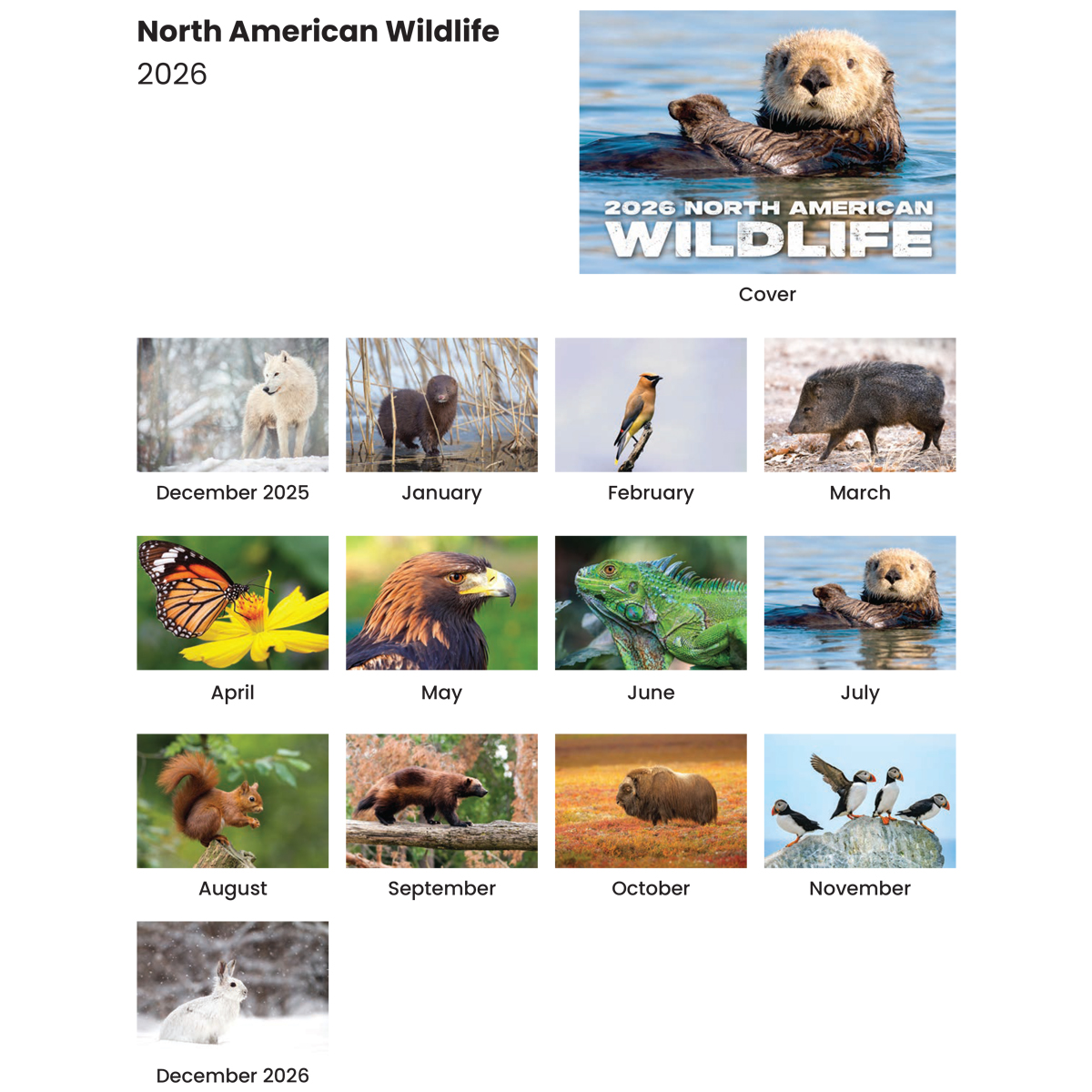 Full Color Wildlife Spiral Wall Calendar 3