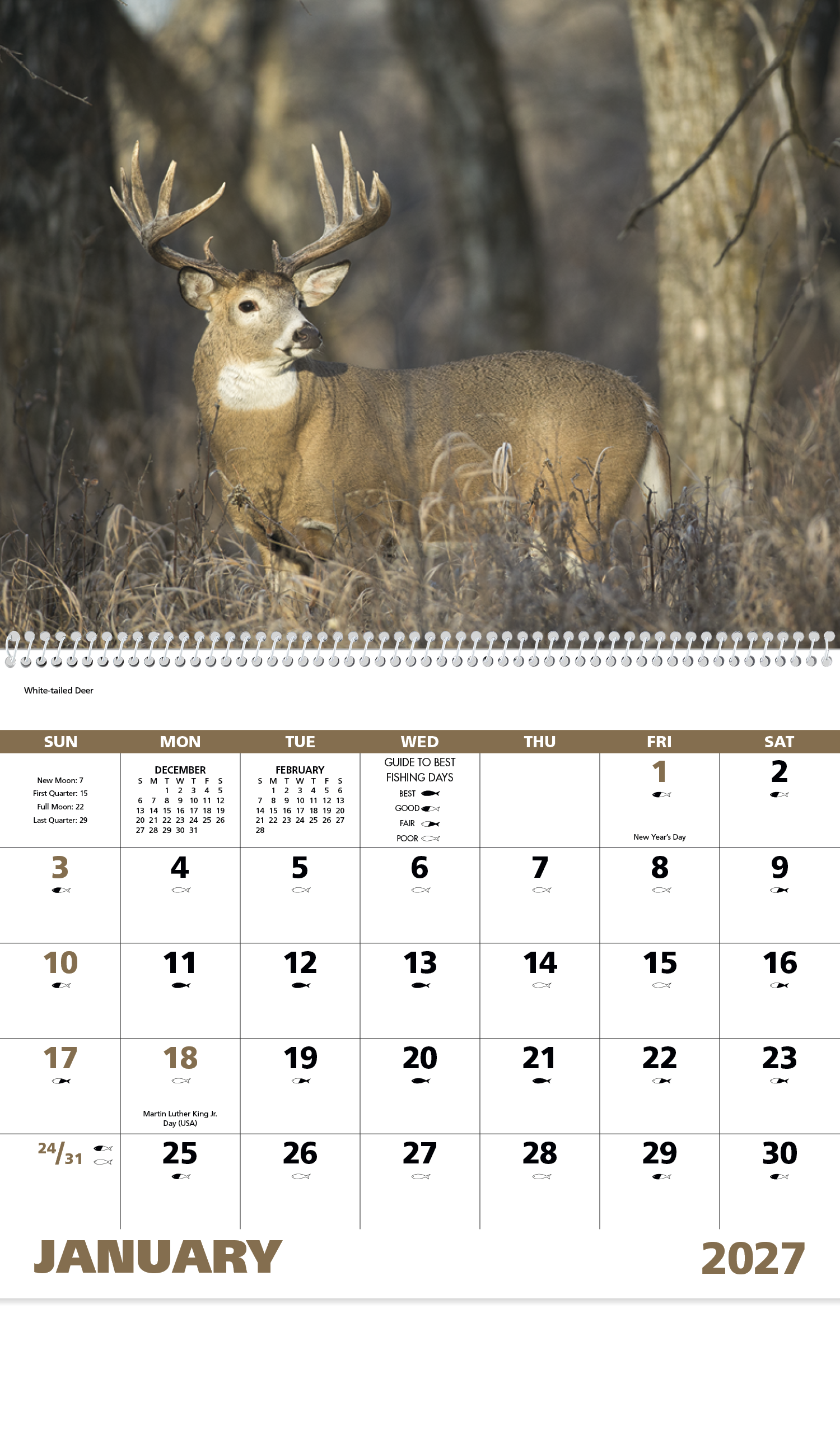 Good Value™ Wildlife Portraits - Spiral Calendar 51