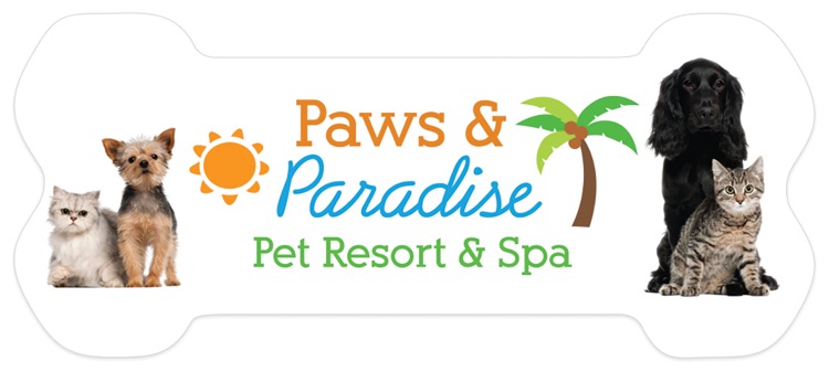 Bone Medium Die Cut Magnet (1.5" x 1.5")