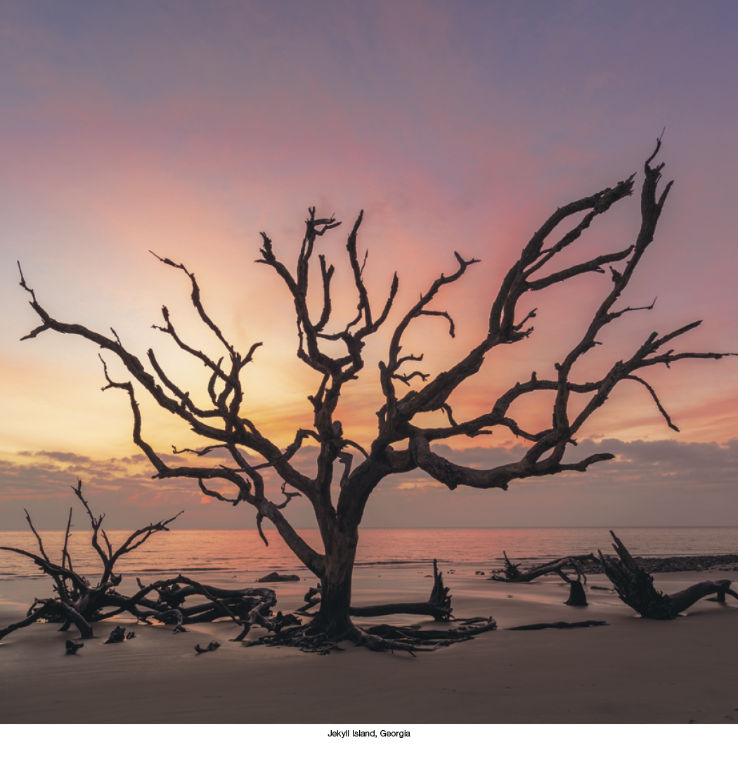 HotLine® Products Scenic America® Executive 2