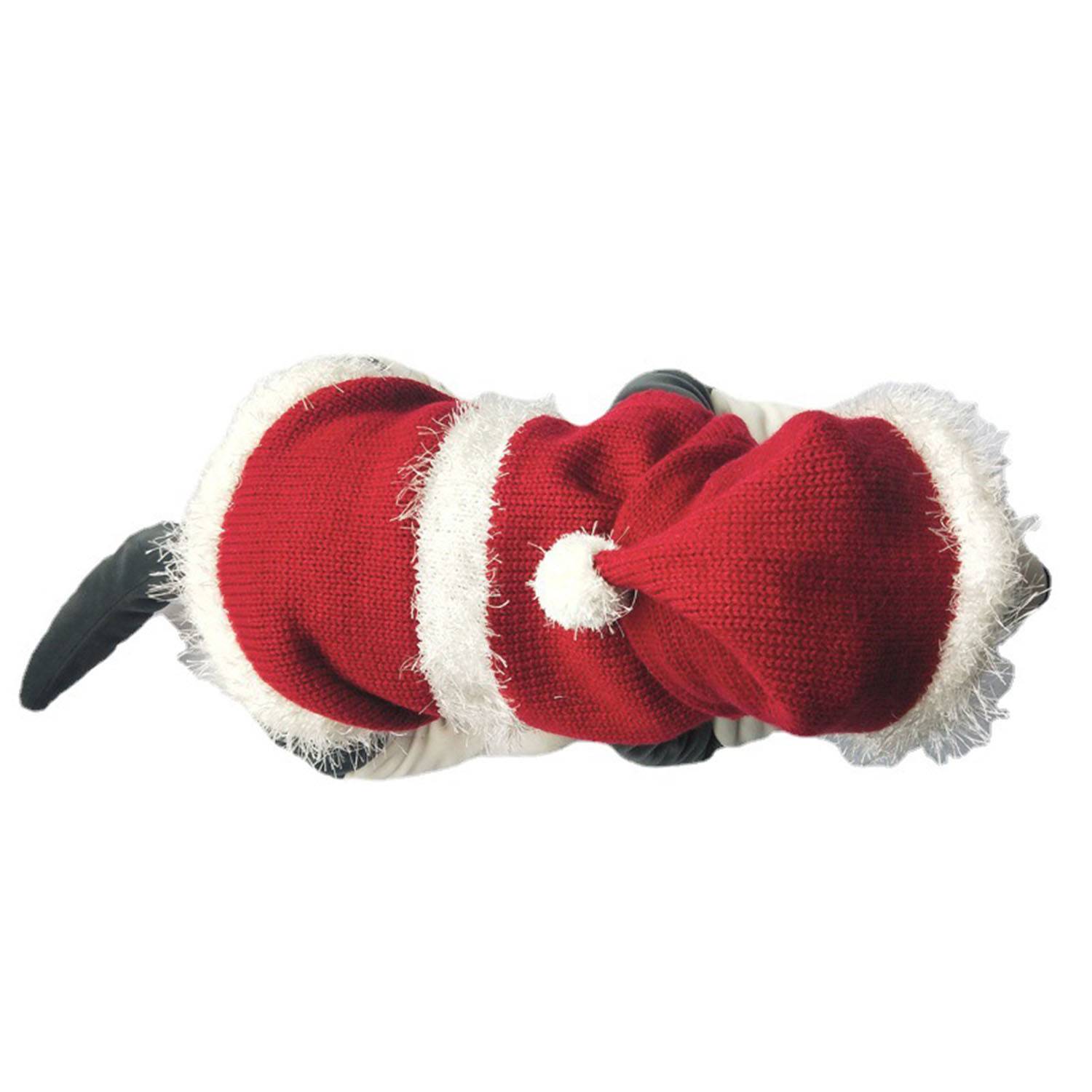 Customized Dog Christmas Hoodie 4