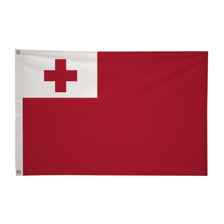 2' x 3'International Flag 167