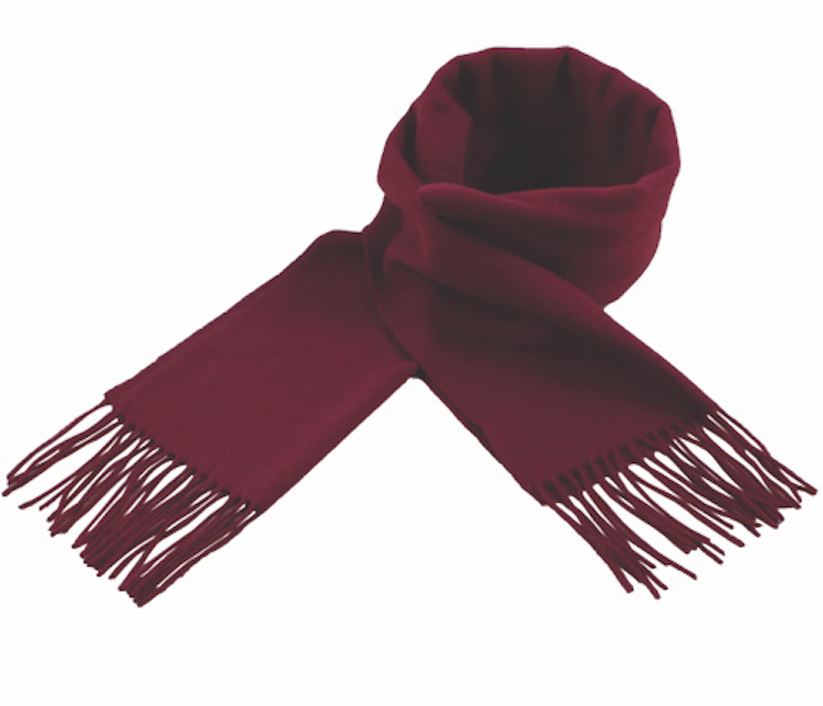 Cashmere Scarf 1