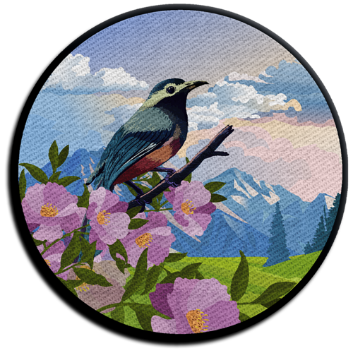 Dye Sublimation Patch - 4.0" Wide 6