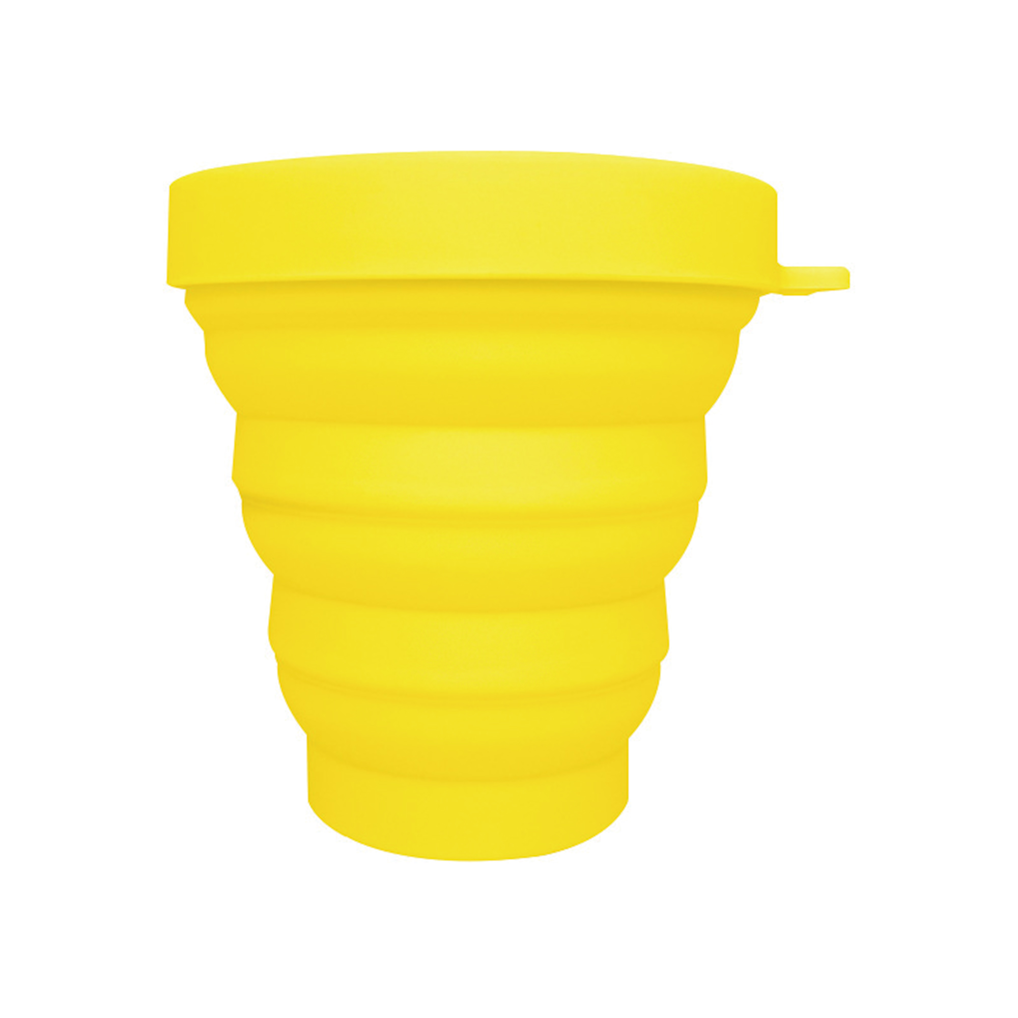 Collapsible Carabiner Pet Bowl 6