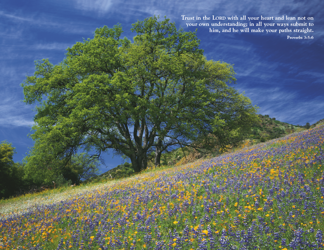 Triumph® Calendars World of Inspiration Calendar 32