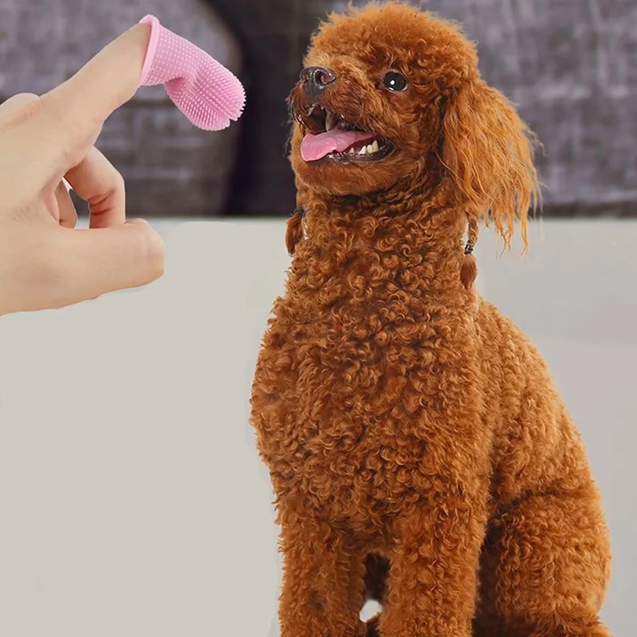 Baby Finger Toothbrushes With Box 2
